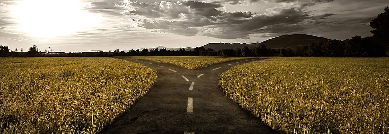 why your and our team is at a crossroads