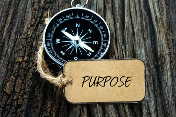 why is purpose so important for your team?