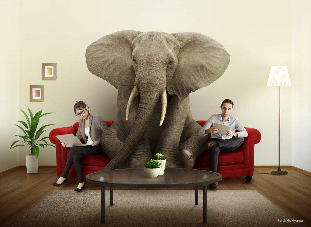 an elephant in the office room